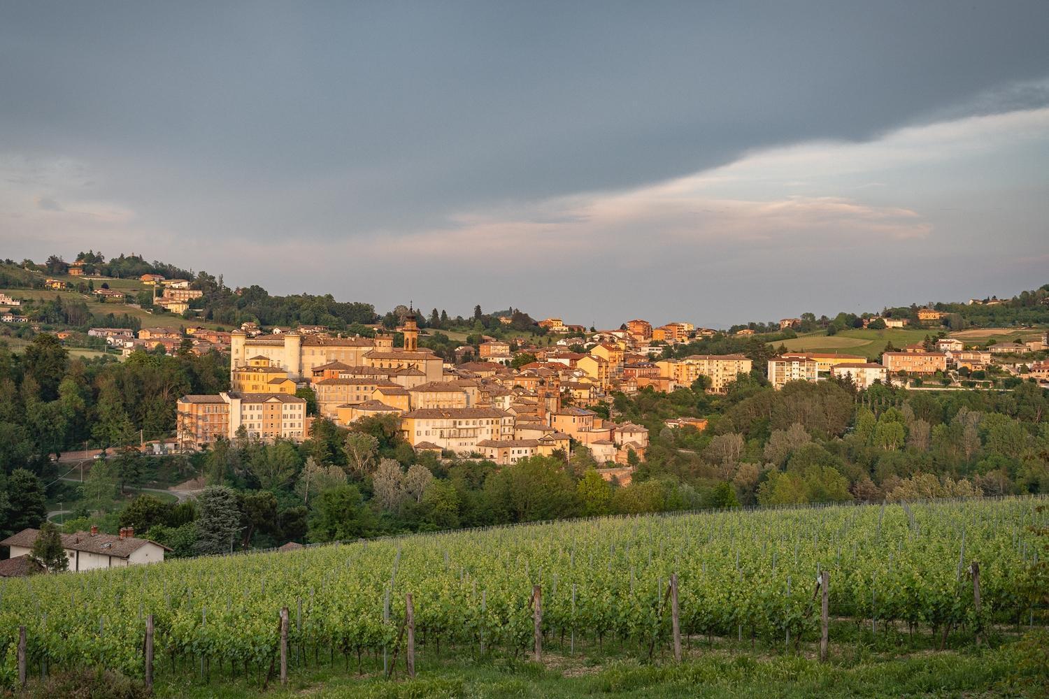 Monvi Wine Relais Farm stay *